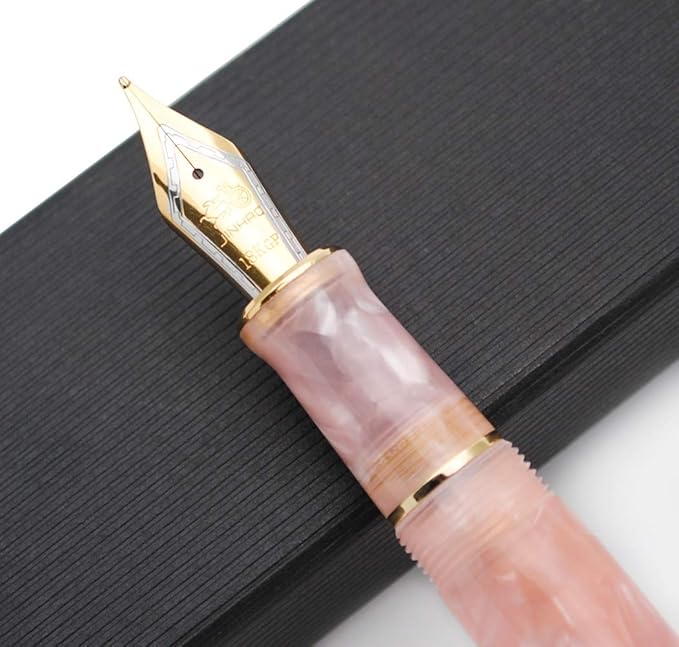 JINHAO 100 Fountain Pen with Ink Converter (Medium Nib 0.7mm, Sakura Pink)