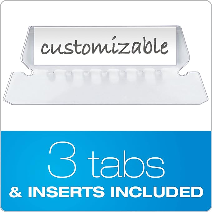 Pendaflex Portable File Box with File Rails, Hinged Lid with Double Latch Closure, Black, 3 Black Letter Size Hanging Folders Included (41732AMZ)