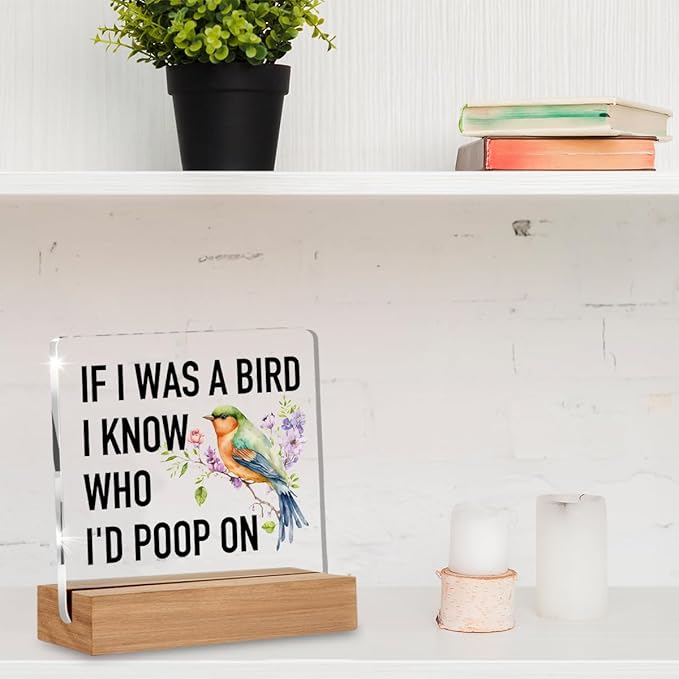 Funny Gifts for Bird Lovers Coworkers, Gag Office Gifts for Women Men, Bird Watching Gift Acrylic Plaque, Novelty Birds Desk Signs Decor 4 × 4 Inches