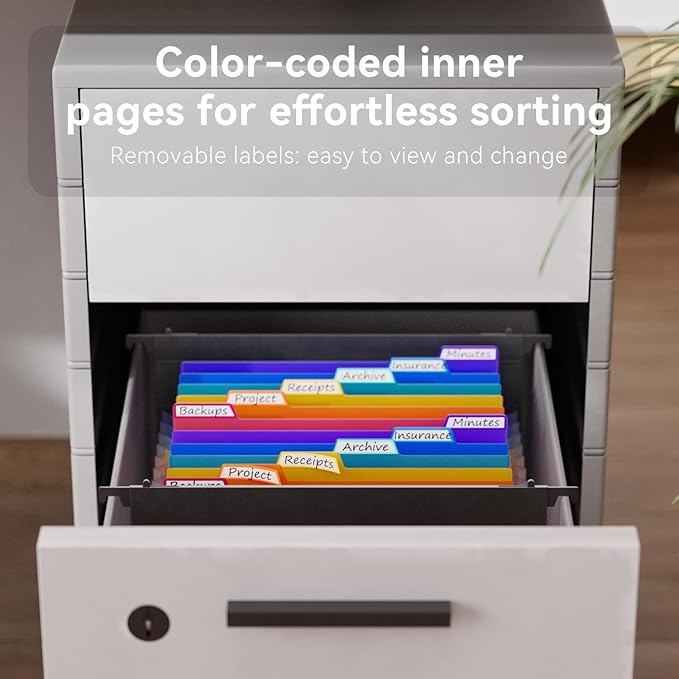 ThinkTex Plastic Expanding Hanging File Folders,12 Accordion Pockets,Large Capacity for Letter Size, Organizer for Filing Cabinet,Ideal for Tax,Contracts,Invoices,for Office,School & Home,Black