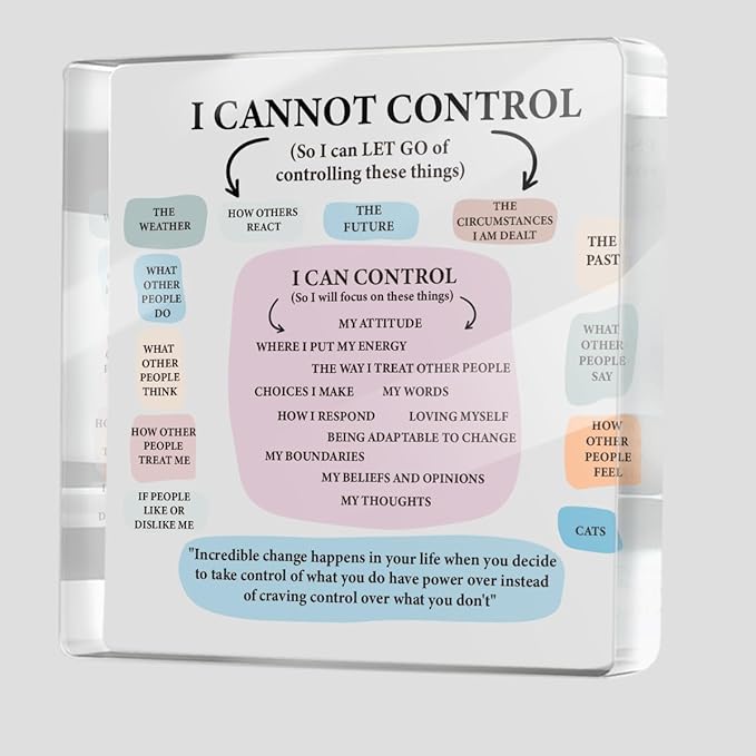 Mental Health Therapist Office Desk Decor Clear Acrylic Sign, Inspirational Gifts for Women Men Friends, Therapist Office Art Decoration for Desk Gadgets Tabletop Cubicle, Things I Can Control