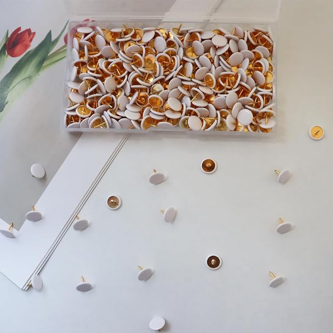 300 PCS Thumb, Tacks Plastic Round Head Thumbtack, Plastic Roundness Push Pins, Roundness Head Thumbtack for Map, Office, Photo Wall, Cork Board (White)