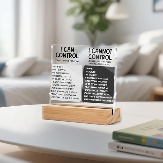 Things I Can't Control Office Decor Sign, Motivational Quotes Acrylic Sign With Wooden Stand, Thank You Gifts for Woman Coworker Nurse Friends Decorative Desk Accessories Table Shelf Signs Decor-1
