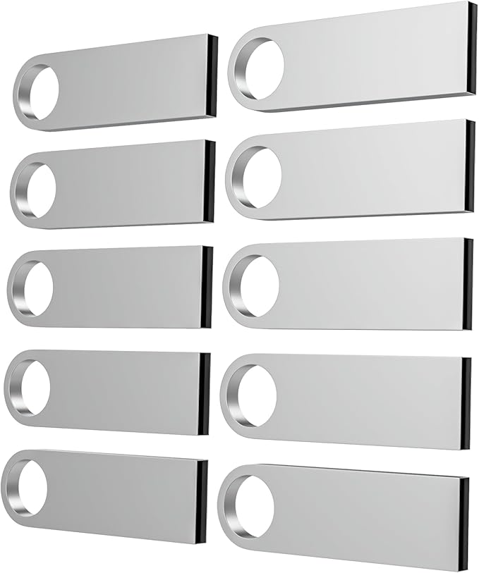 ABLAZE 8GB Flash Drive 10 Pack, Metal USB 2.0 Thumb Drives with Keychains USB Sticks Pendrives (Sliver)