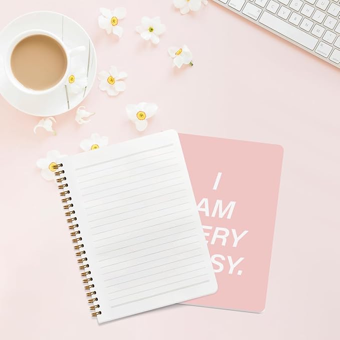 2 Pcs Funny Notebook- I am very busy, Pink Spiral Notebook College Ruled, Journaling for Work, Note Books Home College Classroom Office Supplies Gifts for Women, Friend, Sister, Girls