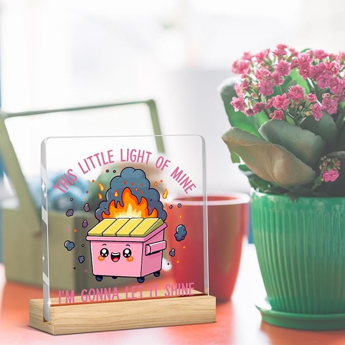 Dumpster Fire Desk Decor Accessories Funny Pink Office Decor Inspirational Coworker Gifts Acrylic Sign Plaque Table Decorations for Home Office