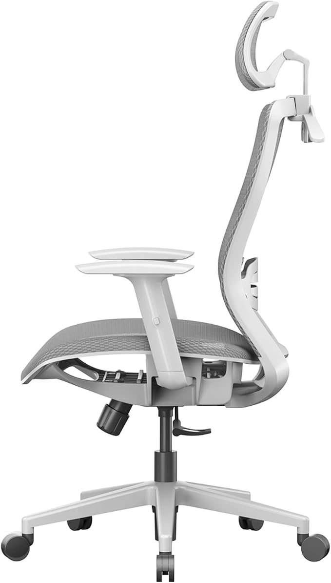 FLEXISPOT OC3 Air Ergonomic Office Chair Mesh Back Swivel Computer Chair Executive Office Desk Chairs with Adjustable Lumbar Support/2D Headrest/Lockable Backrest, Mesh Seat Cushion, Light Gray