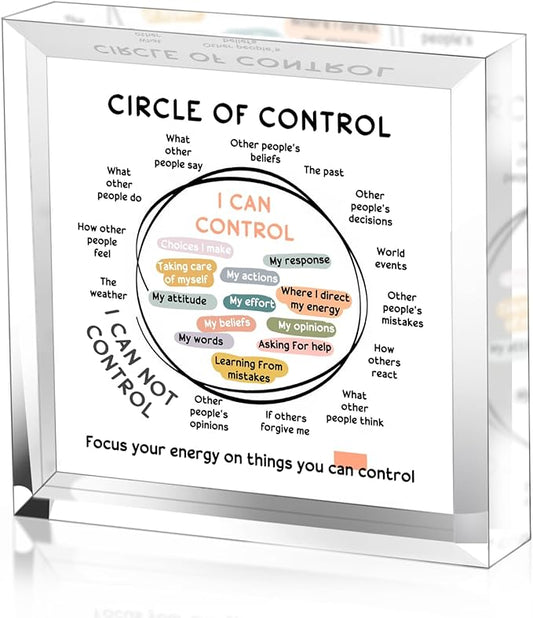 Mental Health Things I Can Control Decor - Therapy Office Acrylic Gifts - Psychology Art Decor for Treatment Room Office School Classroom - Art Decorations for Therapist Office Living Room Bedroom