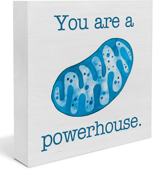 Science Biology Teacher Gifts for Students, Cool Science Biology Classroom Decor, Motivational Quotes Wooden Sign Decor