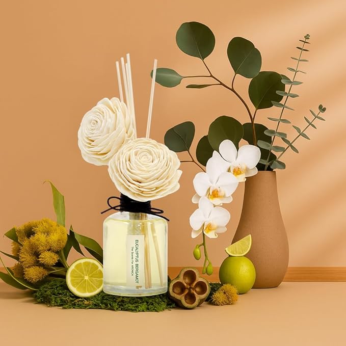 Aronica Twin Sola Diffuser 160ml_Eucalyptus and Bergamot Oil Sticks Set, New Premium Non Toxic Clean Reed Diffusers for Home, Organic Essential Oil Scents, Natural Quality Room Scents