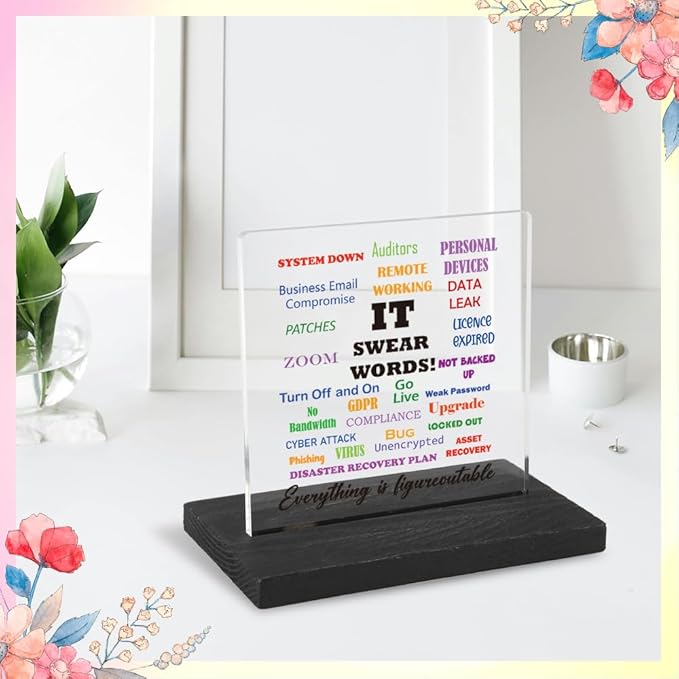 Motivational Office Gifts for Programmer, Positive Affirmation Gifts for Programmer, Modern Transparent Acrylic Desk Plaque with Funny Quotes, 10 x 10 x 1.5 cm,XXY83