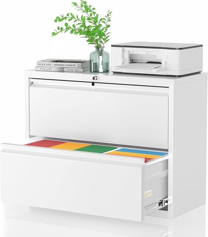 Pataku Lateral File Cabinet, 2 Drawer File Cabinet with Lock, White Filing Cabinets for Home Office, Metal File Cabinet for Hanging Files/Letters/Legal/F4/A4(White)