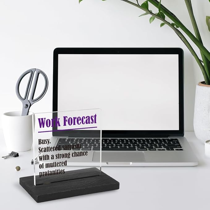 THRXOBN Cute Desk Decor for Coworker, Funny Profanity Gift for Work Colleague, Employee, Joke Birthday Office Gift for Coworker,Transparent Acrylic Desk Decoration, WYZ1