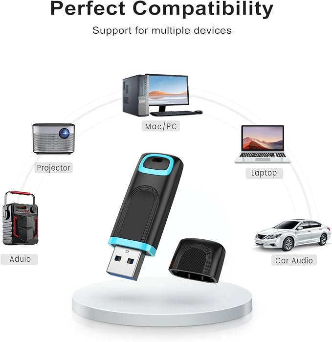 RAOYI USB 3.0 128GB Flash Drive Thumb Drive High Speed Memory Stick Jump Drive Portable Zip Drive for PC Laptop
