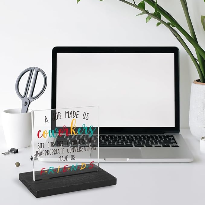 Coworker Gifts for Employee, Staff, Birthday Gifts for Women, Her, Friends, Boss, Office Gifts, Coworker Leaving Gifts for Colleagues, Women, Her, Friends,WYZ7