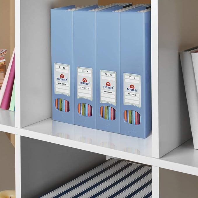 Acrimet Magazine File Holder, Durable Rack, Space-Saving Organizer (Plastic) (Solid Blue Color) (2 pack)