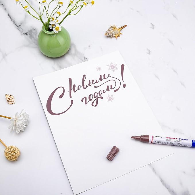 Brown Paint Markers, 12 Pack Oil-Based Waterproof Quick Dry Permanent Paint Pen Set for Rocks Painting, Wood, Fabric, Plastic, Canvas, Glass, Mugs, Metal, Tire, Stone, DIY Craft