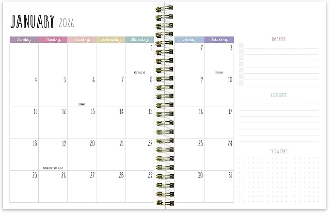 TF Publishing 2026 Color Wave Medium Weekly Monthly Planner with 12-Month Calendar Grid and Task Tracker - Vertical Weekly Schedule Planner with Habit Tracker and Stickers - 6.5in x 8in