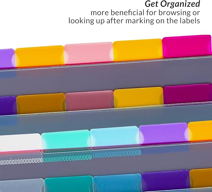 Seashell 3 Sets 8-Tab Plastic Binder Dividers, 8 Tab Insertable Index Dividers for 3 Ring Binders, Letter Size, Durable, Assorted Colors, School Subject Binder Organizers