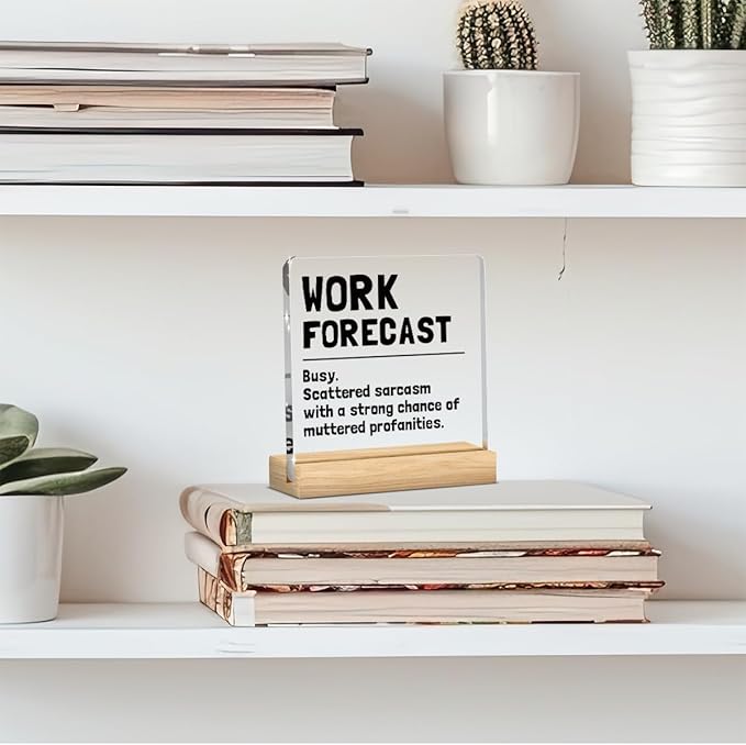 Funny Office Desk Decor, Humor Cubicle Decoration, Cool Gifts for Coworkers, Office Gift for Coworkers, Office Decor for Women Boss Gift, Funny Cute Humor Acrylic Desk Decoration for Office