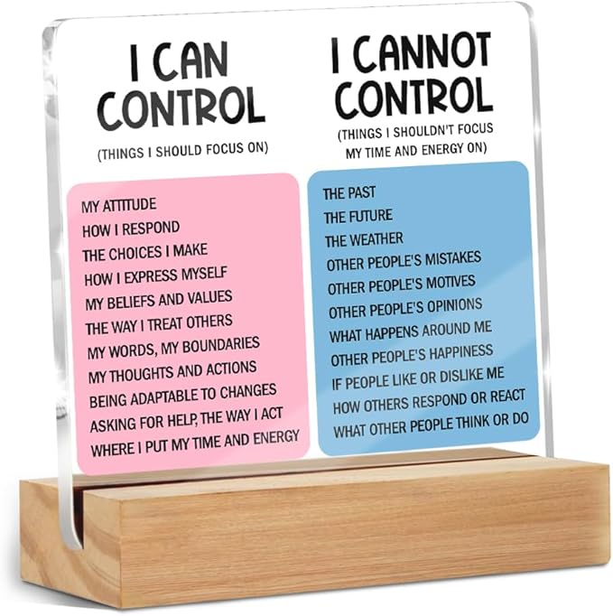 Mental Health Desk Decor Things I Can Control Acrylic Sign, Inspirational Gifts for Women Coworkers, Therapist Office Art Decor for Desk Gadgets Table Top Cubicle Living Room Bedroom Decorations 2