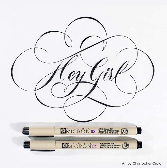 SAKURA Pigma Micron Fineliner Pens - Archival Black Ink Pens - for Writing, Drawing, or Journaling - Assorted Point Sizes - 10 Pack