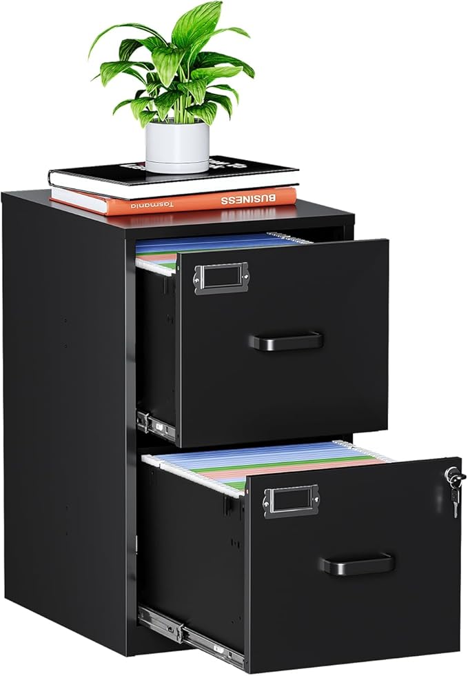 MIIIKO 2 Drawer Filing Cabinet with Lock, Metal Vertical File Cabinets for Home Office, Lockable File Storage Cabinets Under Desk, Letter/A4 File Folders Storage(Assembly Required)
