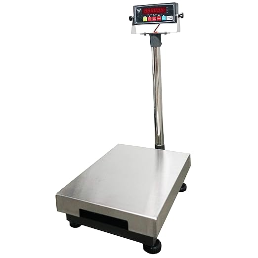Stainless Steel Bench Scale, Commercial Digital Weighing Scale/Postal Scale/Shipping Scale, 600×0.02lb Capacity (12"x 16")