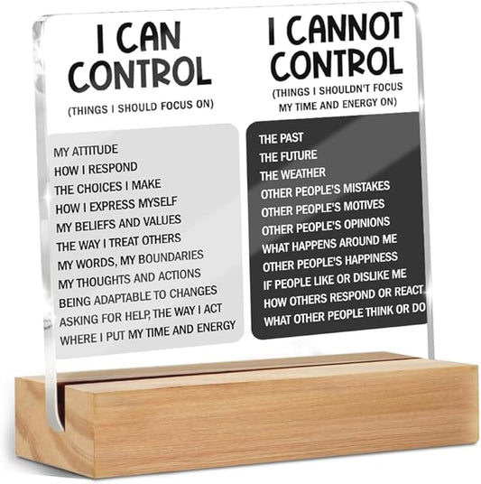 Things I Can't Control Office Decor Sign, Motivational Quotes Acrylic Sign With Wooden Stand, Thank You Gifts for Woman Coworker Nurse Friends Decorative Desk Accessories Table Shelf Signs Decor-1