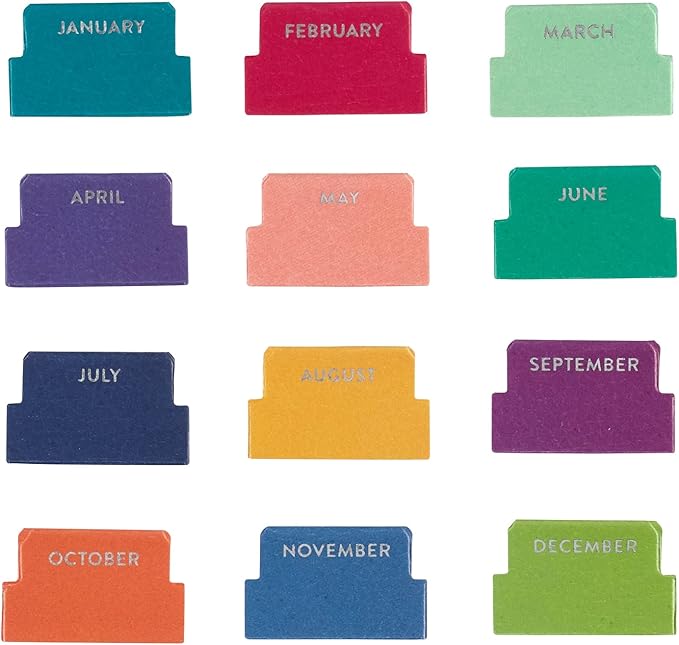 Erin Condren Vegan Leather Monthly Adhesive Tabs, Functional Planner Tabs for Organization, Sticky Index Page Markers, Journal and Notebook Accessories, Colorful + Platinum