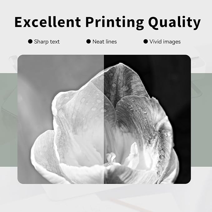 24B6887 M3250 XM3250 Toner Cartridge Black (with Chip) Replacement for Lexmark 24B6887 Toner Cartridges for Lexmark M3250 XM3250 Printer Ink (1 Pack, 21,000 Pages)