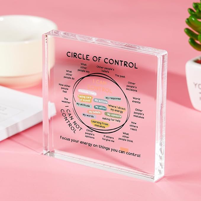 Mental Health Things I Can Control Decor - Therapy Office Acrylic Gifts - Psychology Art Decor for Treatment Room Office School Classroom - Art Decorations for Therapist Office Living Room Bedroom