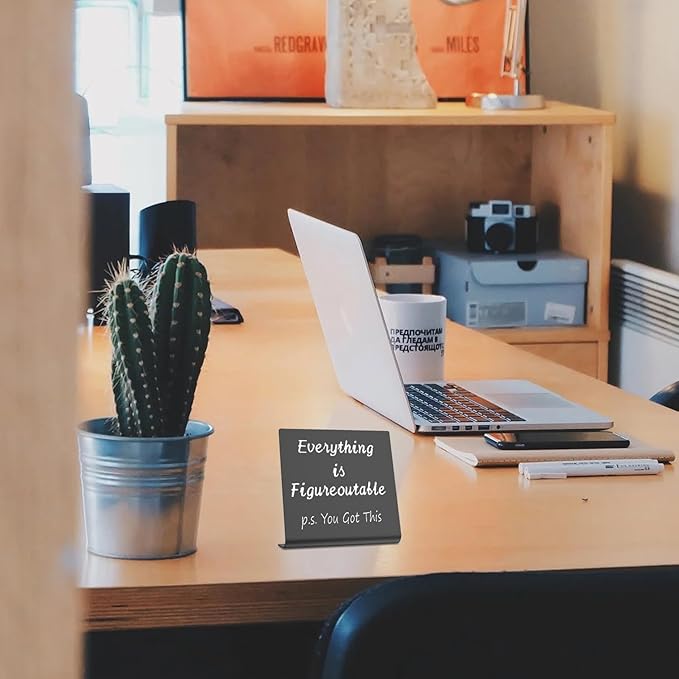 Home Office Desk Decor P.S. You Got This Everything is Figureoutable Gifts For Women Best Friend Encouragement Cheer Up Gifts Inspiration Positive Plaque For Cowoker Motivational Sign XBT