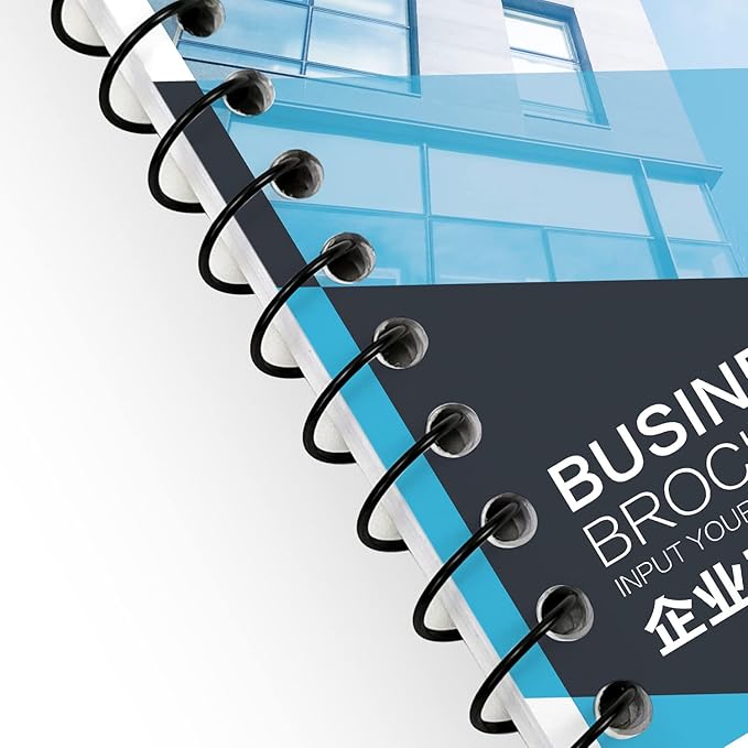 Rayson 7.9mm Spiral Wire Coil for Binding, 4:1 Pitch, 48-Loops, 5/16" Coils Metal Comb Binding 40 Sheet Capacity, White Color & Pack of 100