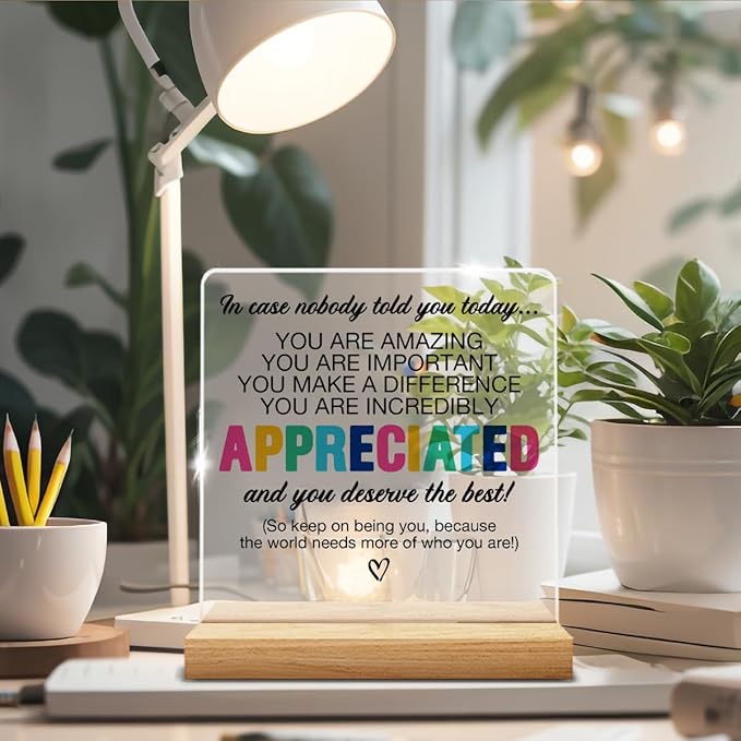 Thank You Appreciation Gifts for Colleague Coworker Boss Teacher, Inspirational Gifts for Women Men, Affirmation Gifts You Are Incredibly Appreciated Acrylic Desk Sign Decor