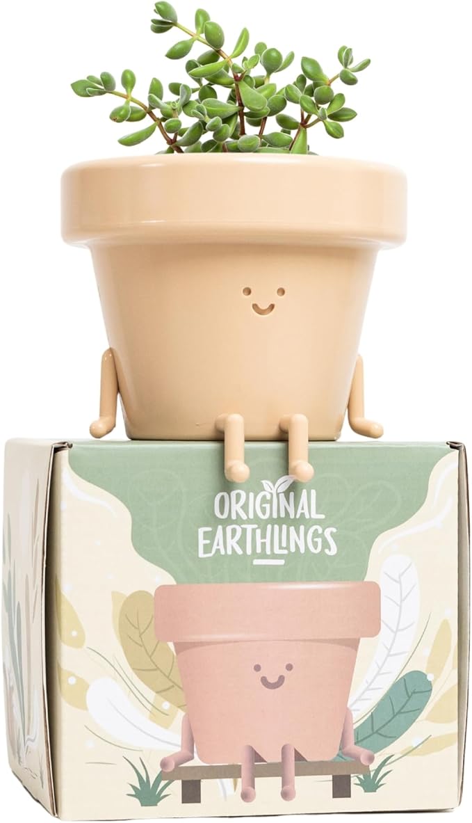 Original Earthlings Sitting Small Plant Pot - 3.5 Inch Cute Plant Pot - Succulent & Cactus Christmas Planters, Removable Drainage Plug, Cute Decor Plant Gifts for Plant Lovers, Teacher Gifts