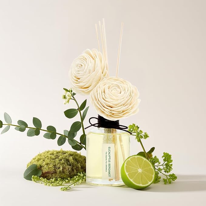 Aronica Twin Sola Diffuser 160ml_Eucalyptus and Bergamot Oil Sticks Set, New Premium Non Toxic Clean Reed Diffusers for Home, Organic Essential Oil Scents, Natural Quality Room Scents