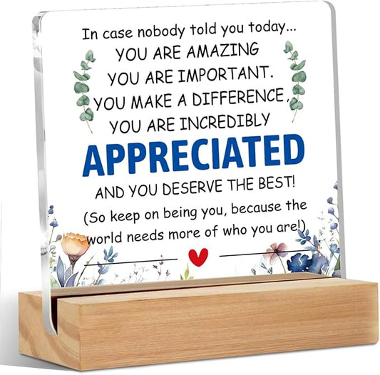 Inspirational Gifts Acrylic Sign with Wood Stand, Employee Appreciation Gifts Bedroom Office Living Room Desk Cubicle Table Shelf Decor, Encouragement Gifts for Women Coworker Friends Staff