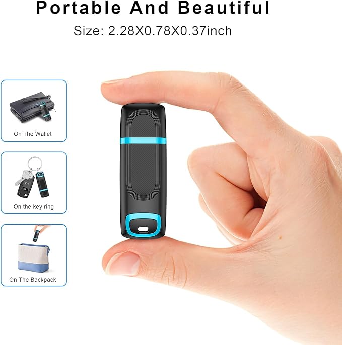 RAOYI 256GB USB 3.0 Flash Drive Thumb Drive High Speed Memory Stick Jump Drive Portable Zip Drive for PC Laptop