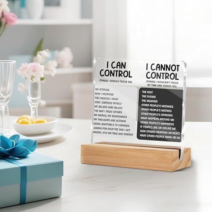 Things I Can't Control Office Decor Sign, Motivational Quotes Acrylic Sign With Wooden Stand, Thank You Gifts for Woman Coworker Nurse Friends Decorative Desk Accessories Table Shelf Signs Decor-1