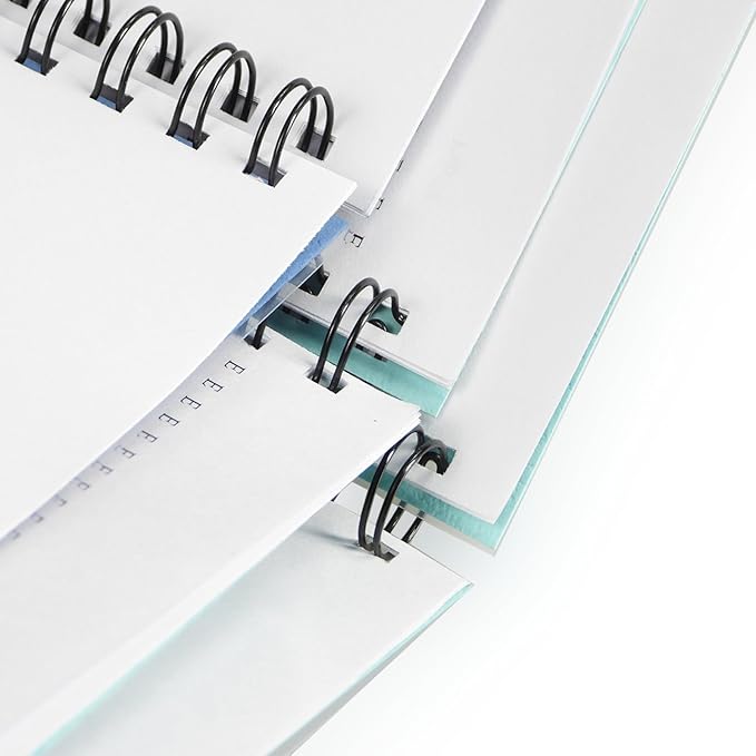 Rayson WR21143BK Wire Binding Spines, 2:1 Pitch Double Loop Binding Wires 9/16 Inch, 21-Loop Wire Ring Pack of 100 with Black