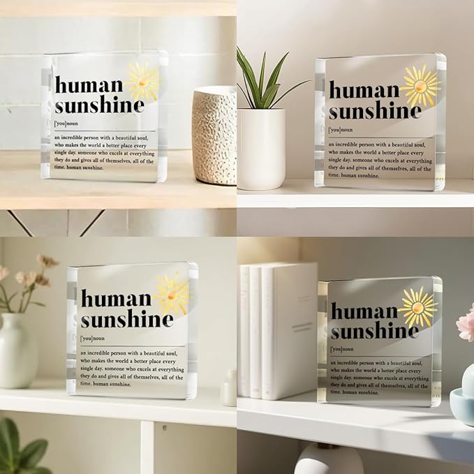 Human Sunshine Positive Affirmation Gifts for Leader Teacher Mentor Coworkers, Definition Desk Decor Acrylic Sign for Table Top Cubicle Room Office Decorative Signs