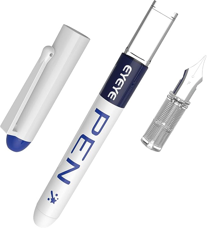 EYEYE Fountain Pens for Writing, 8 Pack Assorted Colors Fine Point Disposable Fountain Pens Stainless Steel Nib, Smooth Writing for Calligraphy, Journaling, Drafting, Sketching, Doodling & Gifts