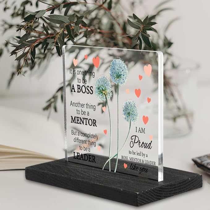 Thank You Appreciation Gifts for Boss, Boss gifts for Women Funny, It is One Thing to Be A Boss Sign, Going Away Gifts Retirement Gifts for Boss, Best Boss gifts for Women Decor Signs-DX342