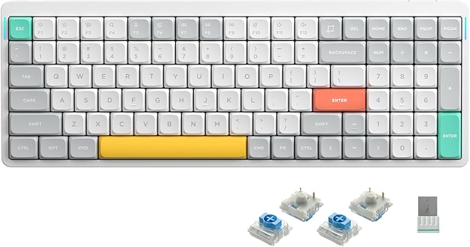 nuphy Air96 V2 Wireless Mechanical Keyboard,100 Keys RGB Backlit Keyboard,Supports Bluetooth 5.1,2.4G and Wired Connection,for PC/Laptop/Windows/Mac -White Gateron Blue Switch