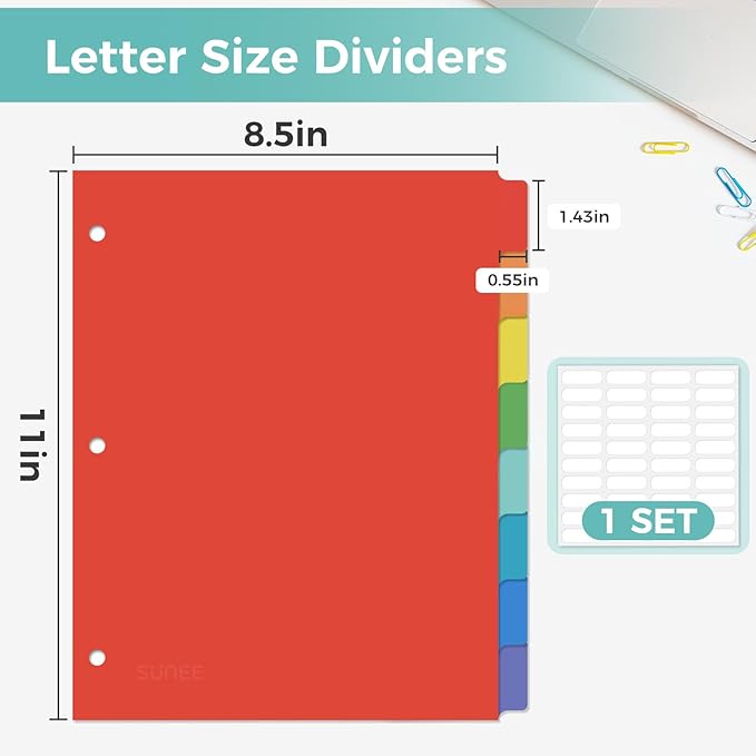 SUNEE 8 Tab Binder Dividers,Plastic Dividers for 3 Ring Binder,3 Ring Binder Dividers with Tabs for School Office Home Supplies,Bright Color, 1 Set