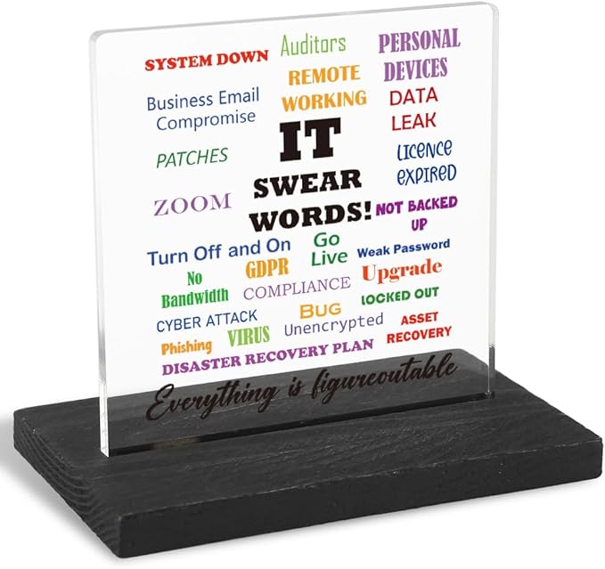 Motivational Office Gifts for Programmer, Positive Affirmation Gifts for Programmer, Modern Transparent Acrylic Desk Plaque with Funny Quotes, 10 x 10 x 1.5 cm,XXY83