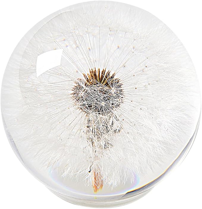 Dandelion Paperweight – Real Dandelion in Crystal Glass Ball, Unique Gift & Home Office Decor, Symbol of Luck, Hope, and Wishes for Birthday, Graduation, Wedding
