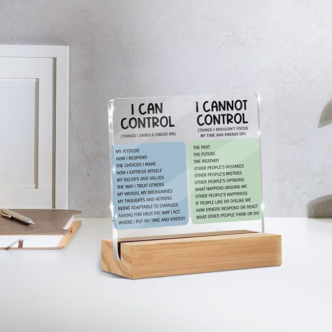 Mental Health Desk Decor Things I Can Control Acrylic Sign, Inspirational Gifts for Women Coworkers, Therapist Office Art Decor for Desk Gadgets Table Top Cubicle Living Room Bedroom Decorations 1