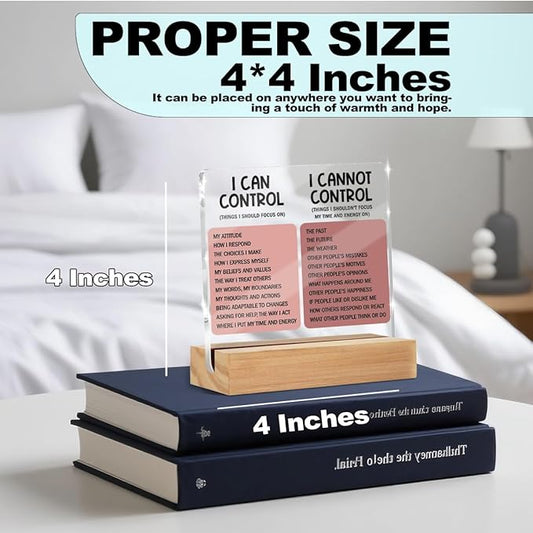 Things I Can't Control Office Decor Sign, Motivational Quotes Acrylic Sign With Wooden Stand, Thank You Gifts for Woman Coworker Nurse Friends Decorative Desk Accessories Table Shelf Signs Decor-2